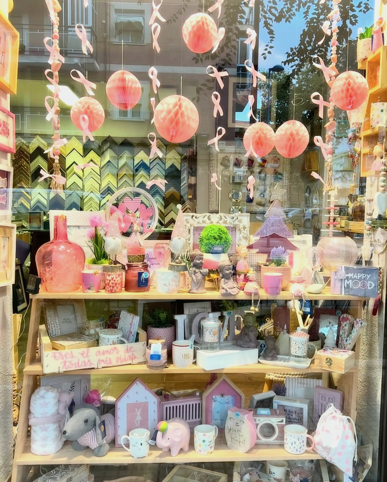 Escaparate 4